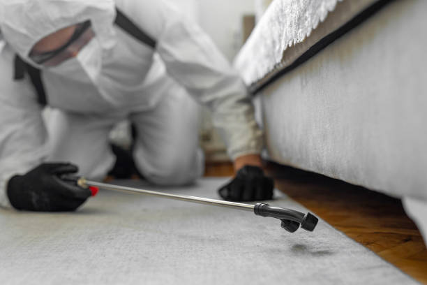 Professional Pest Control technician working in Covington County County, AL